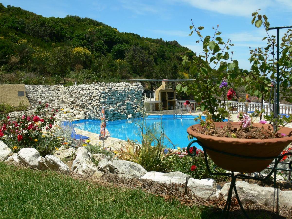 公寓 Angela Pool Gardens And Sea Views 阿吉欧史芬尼